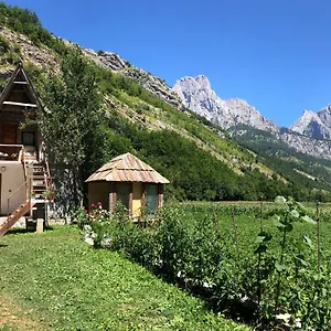 Ledio Guest house